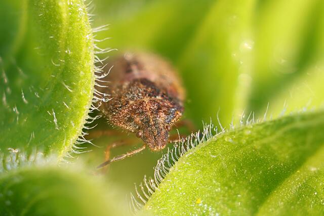 Da war er noch geduldig und bewegte sich kaum ;-) | Foto: Uschi Dugulin