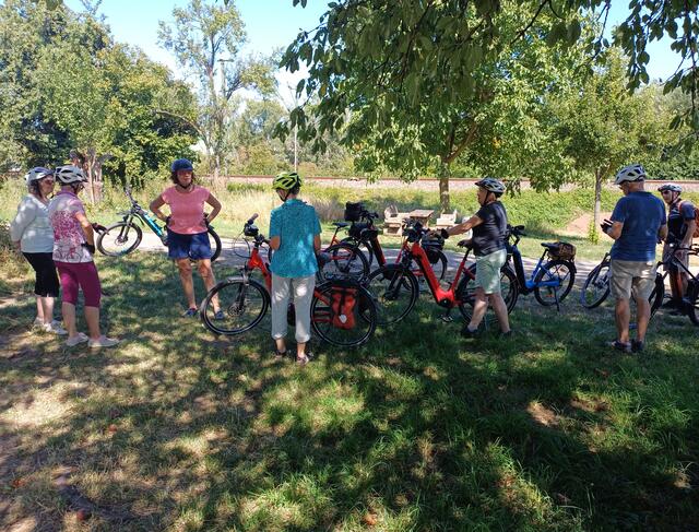 zurück nach Lauffen, der letzte Halt | Foto: E. Rosendorf