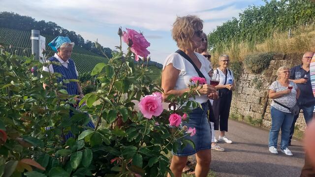 Reben und Rosen | Foto: Ursula Hamann