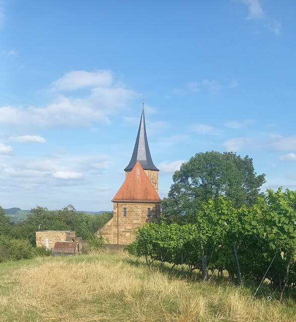 Ein schöner Rücken kann auch entzücken - Johanneskirche mal anders | Foto: Ursula Hamann