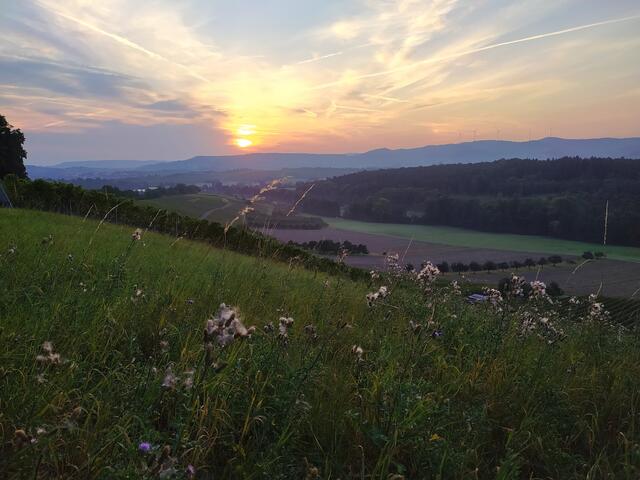 Das ist so ein Motiv, das uns lange aufhält ..... Aber es sieht ja auch so idyllisch aus :-) | Foto: sigischlottke