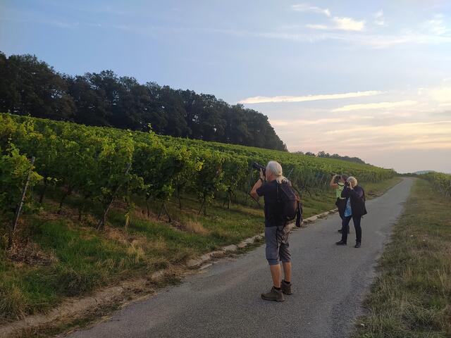 Die Fotografen bei der "Arbeit" :-))) | Foto: sigischlottke