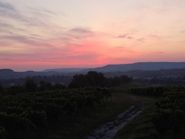 So schön, wie sich die Farben am Himmel stetig verändern.  | Foto: sigischlottke