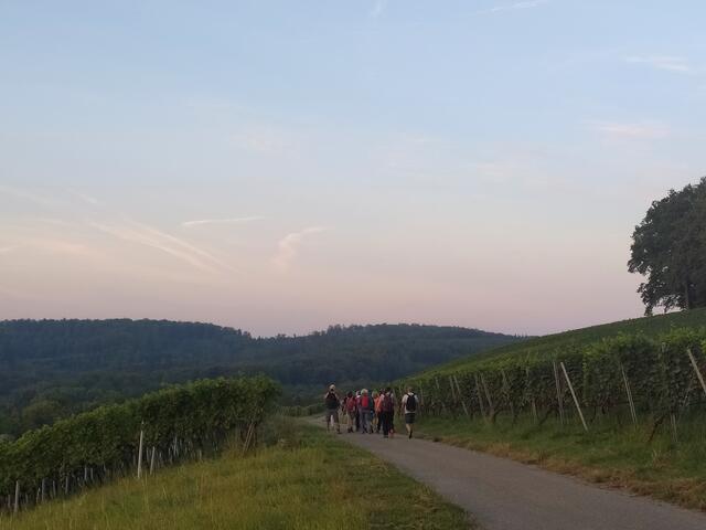 Lange sind wir an dem Aussichtsplatz verweilt - es war ja auch zu schön!
Aber irgendwann mussten wir uns losreißen und weiterwandern. Michael fotografiert nochmal den Sonnenaufgang, der sich hinter uns befindet..... oder fotografiert er die Heimatreporter, die etwas zurückliegen? Vor lauter tollen Motiven kommen sie nicht vorwärts :-) | Foto: sigischlottke
