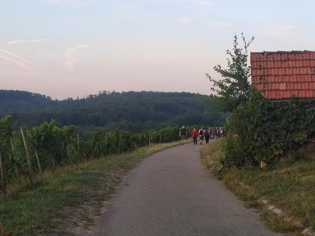 Vorbei an einem hübschen Weinberghäuschen wandert die Gruppe weiter durch die Reben. | Foto: sigischlottke