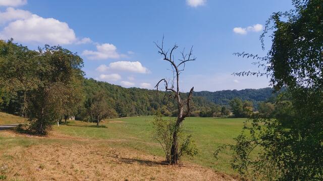 Das Kochertal | Foto: Ralf Röser