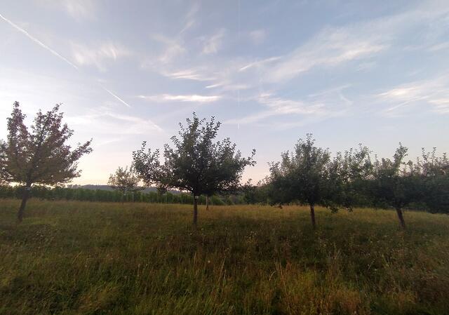 Strammen Schrittes wandern wir nun, borbei an Streuobstwiesen, durch das Autal zurück. In Gespräche vertieft ist - zumindest bei  mir - das Fotografieren nun ein bisschen zu kurz gekommen.  | Foto: sigischlottke