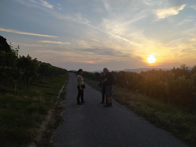 Fachsimpeln der Fotografen...... | Foto: sigischlottke