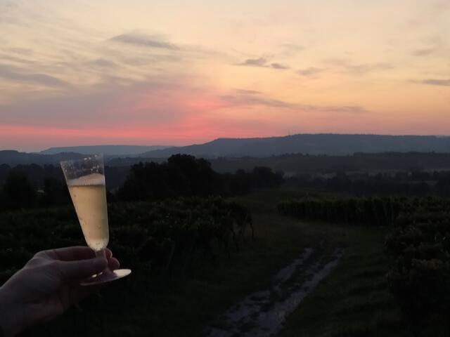 Und dieser Blick bietet sich der Wanderschar - die Silhouette der Löwensteiner Berge, über der sich nun bald die Sonne zeigen wird.  | Foto: sigischlottke
