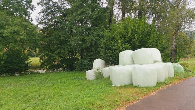 Silage | Foto: Ralf Röser