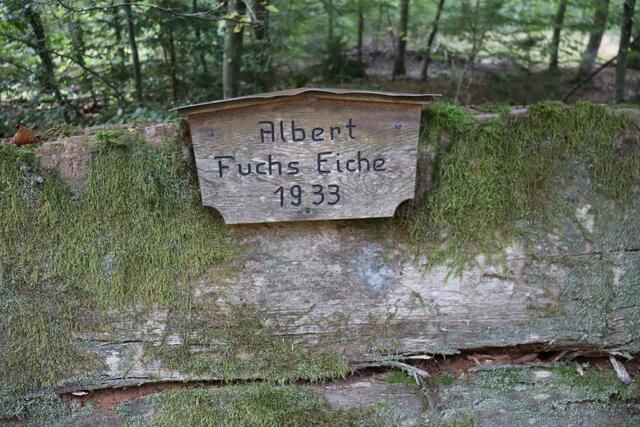 Foto: Marga Specht