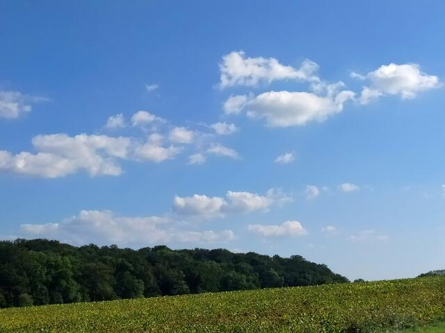 Feld - Wald - Himmel .... herrlich! | Foto: sigischlottke