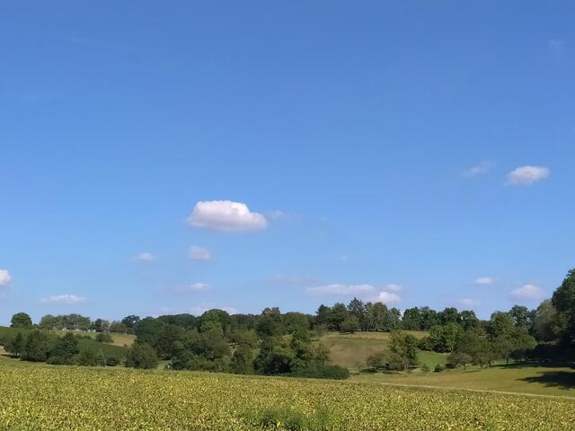 Die Bäume sehen aus wie hingetupft - ich mag diese Landschaften mit dem Wolkenhimmel darüber. | Foto: sigischlottke