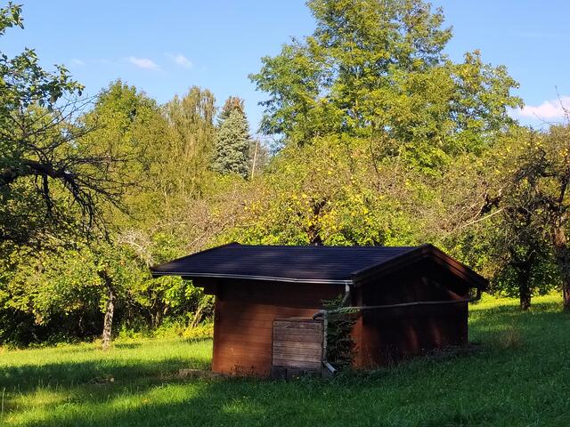 Idylle pur - die Hütte und dahinter der Apfelbaum mit vielen gelben Äpfeln. | Foto: sigischlottke