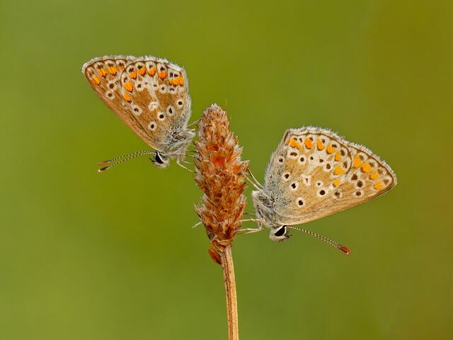 Foto: Eigenes Bild TB