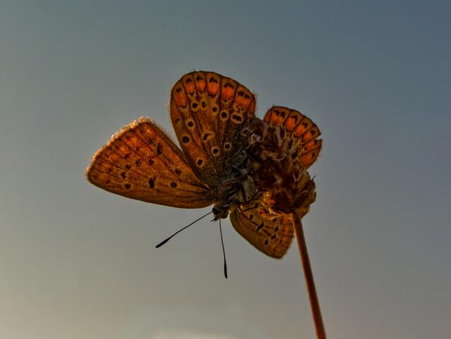 Foto: Eigenes Bild TB