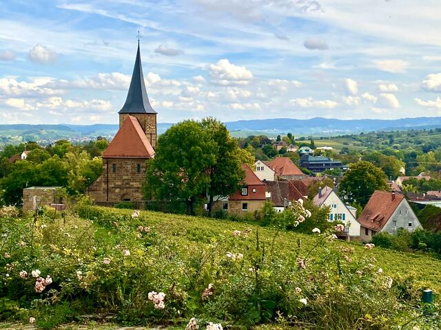 Foto: Heide Böllinger aus Bad Friedrichshall
