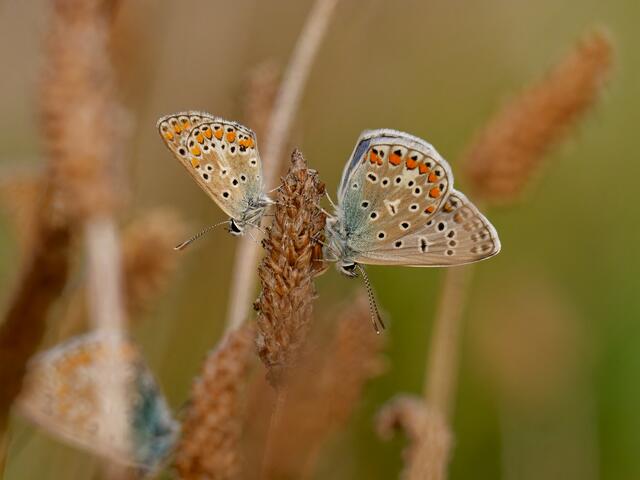 Foto: Eigenes Bild TB