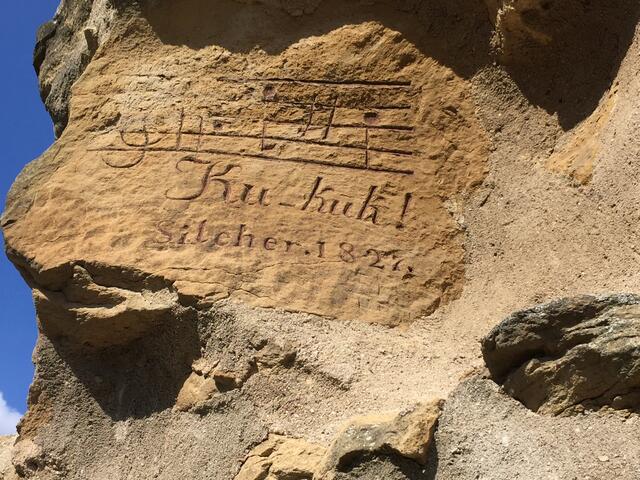 Foto: Heide Böllinger aus Bad Friedrichshall