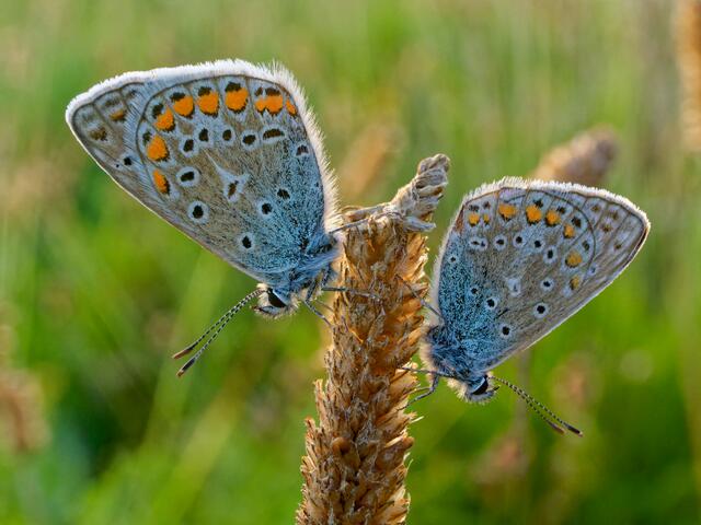 Foto: Eigenes Bild TB