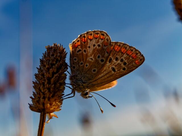 Foto: Eigenes Bild TB