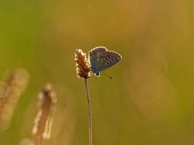 Foto: Eigenes Bild TB