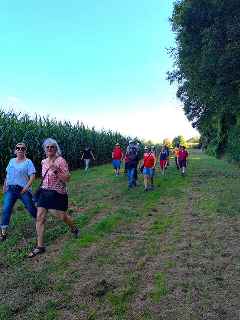 Querfeldein geht es unterhalb des Golfplatzes Richtung Eselsberg. | Foto: Isolde Reitz
