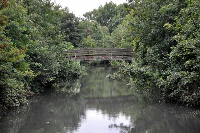 Gegenüber der Stadtmauer und auf der anderen Straßenseite fließt die Seckach.  | Foto: Daniela Somers