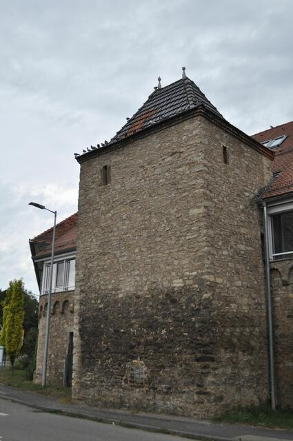 Pfarrersturm. | Foto: Daniela Somers