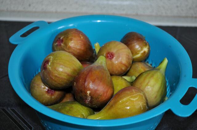 1050 g Feigen waren es an diesem Tag. | Foto: Daniela Somers