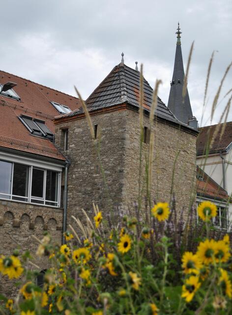 Der Pfarrersturm. Dahinter stand im 16. Jahrhundert das Pfarrhaus. | Foto: Daniela Somers
