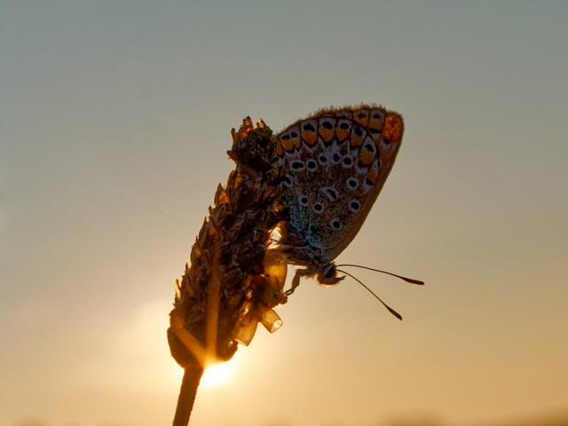 Foto: Eigenes Bild TB