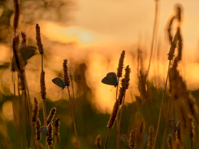 Foto: Eigenes Bild TB