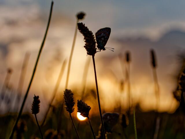 Foto: Eigenes Bild TB