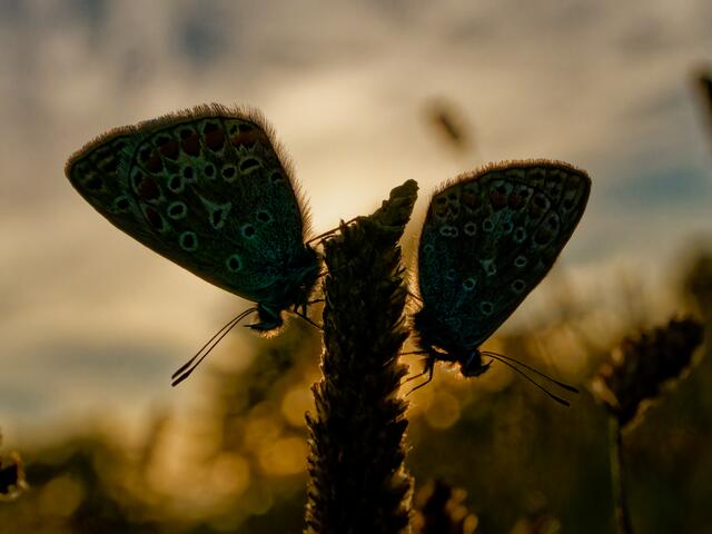 Foto: Eigenes Bild TB