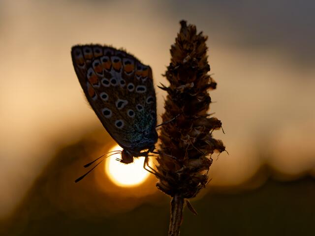 Foto: Eigenes Bild TB