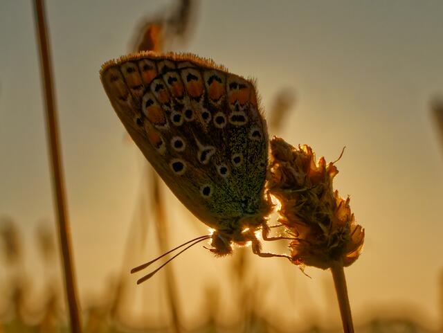 Foto: Eigenes Bild TB