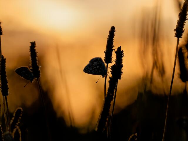 Foto: Eigenes Bild TB