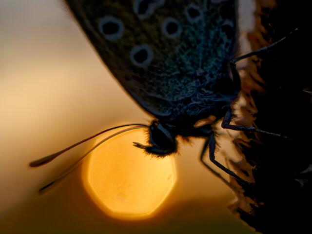 Foto: Eigenes Bild TB