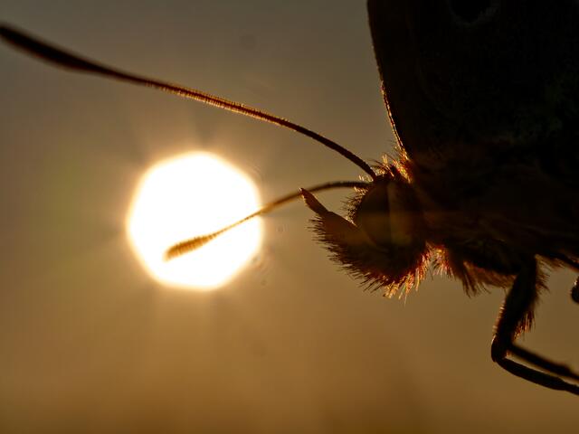 Foto: Eigenes Bild TB