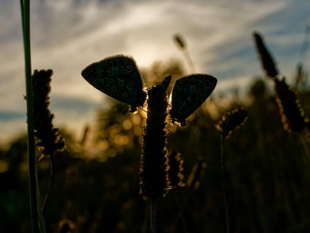 Foto: Eigenes Bild TB