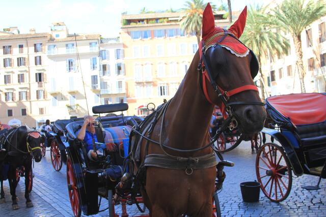 Rom- die ewige Stadt🌞😍 | Foto: Ralf Röser