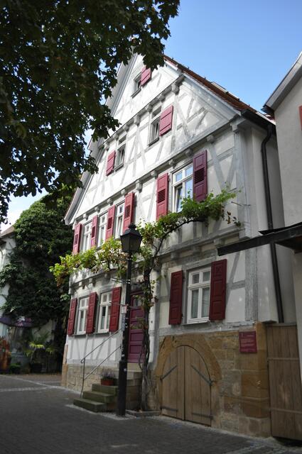 1715 erbautes Wengerterhaus mit charakteristischem Weinstock. Für die Renovierung gab es 2008 den Sanierungspreis von Stadt und AGD. | Foto: Daniela Somers