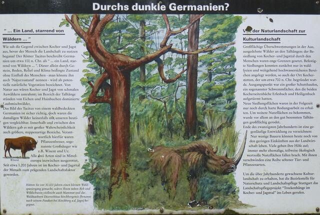 Tafel 10 Keine Angst, das Waldnashorn kommt heute nicht mehr durchs Dickicht geprescht | Foto: eigene Aufnahme