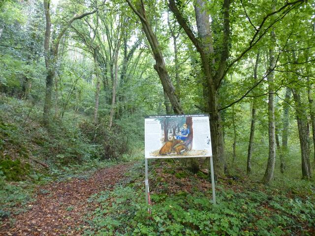 Tafel 5 Mitten im Wald | Foto: eigene Aufnahme