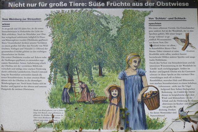 Tafel 4 | Foto: eigene Aufnahme