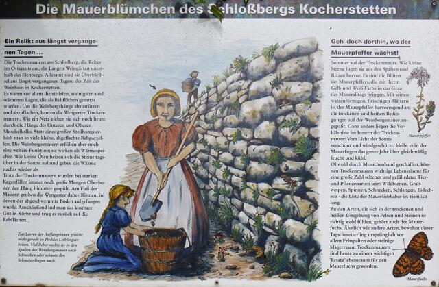 Tafel 2  | Foto: eigene Aufnahme