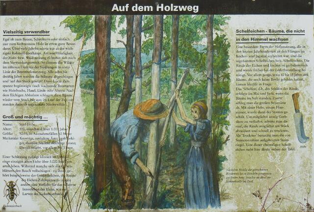 Tafel 6 ... die vergessene Tafel?  | Foto: eigene Aufnahme