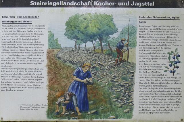 Tafel 7 | Foto: eigene Aufnahme