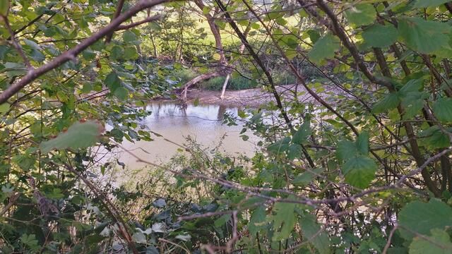 Das Kochertal🌞😍 | Foto: Ralf Röser